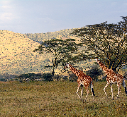 Kenya